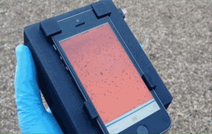 Kan örneklerindeki parazitleri görüntüleyen cep telefonu!