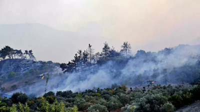 Orman yangınları çıkaran 24 kişi idam edildi