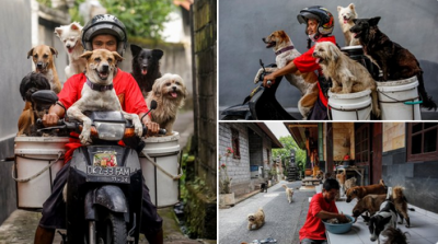 Sahiplendiği köpeklerle birlikte motosikletine binerek, onlar için restoranlardan yiyecek topluyor