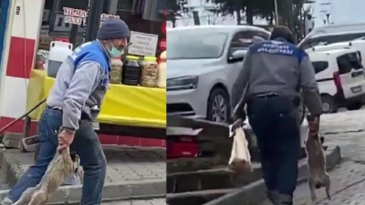 Yavru köpeği patilerinden tutup taşıyan belediye personeline 1500 TL para cezası