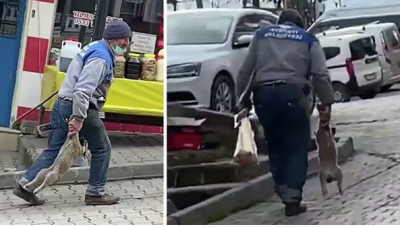 Yavru köpeği patilerinden taşıyan belediye personeline uyarı 