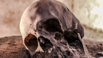 Yeni bir insan türü bulundu: Homo bodoensis