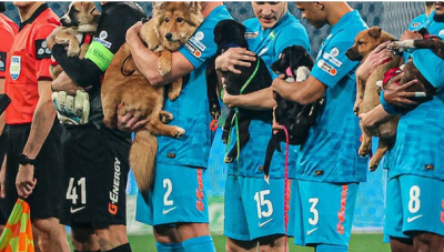 Zenit, sahaya sahiplenmeyi bekleyen köpeklerle çıkarak herkesin kalbini kazandı