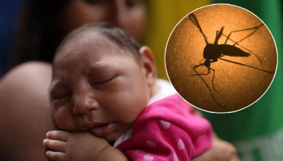 Zika virüsü nedir, belirtileri nelerdir?
